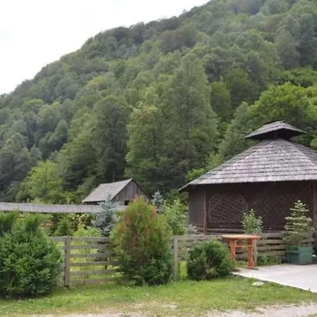 Relaxare Si Buna Dispozitie La Piatra Lotrului, Voineasa. Bukarest